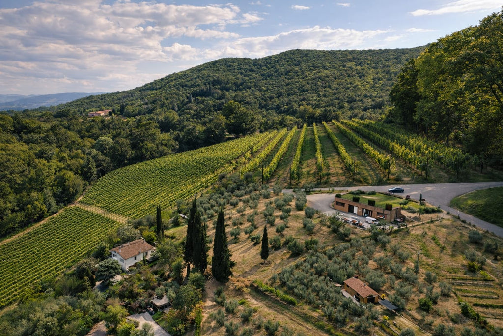 Montepulciano romantic vineyard picnic photo 3 from Fattori Travel Experiences GetYourGuide listing