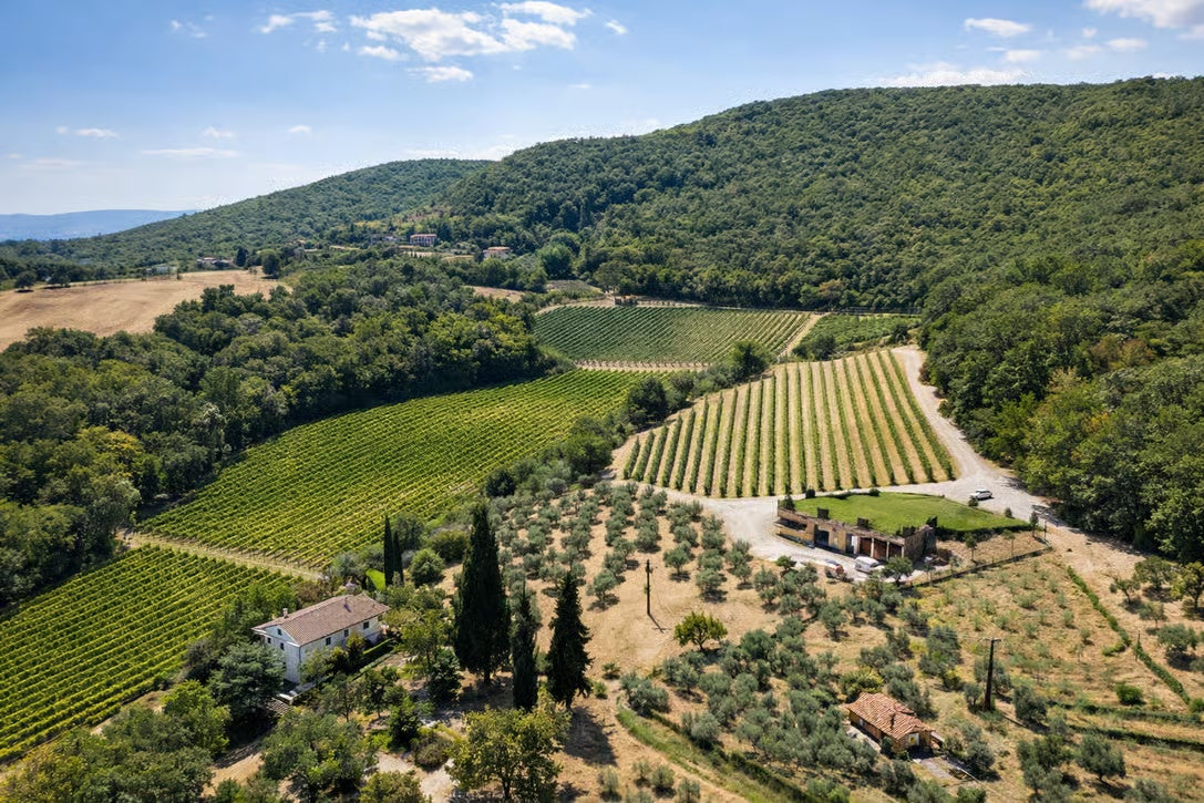 Panoramic view of rolling vineyards and countryside in the Montepulciano wine region