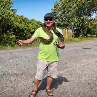 Discover the highlights of Saint Lucia — private island experience