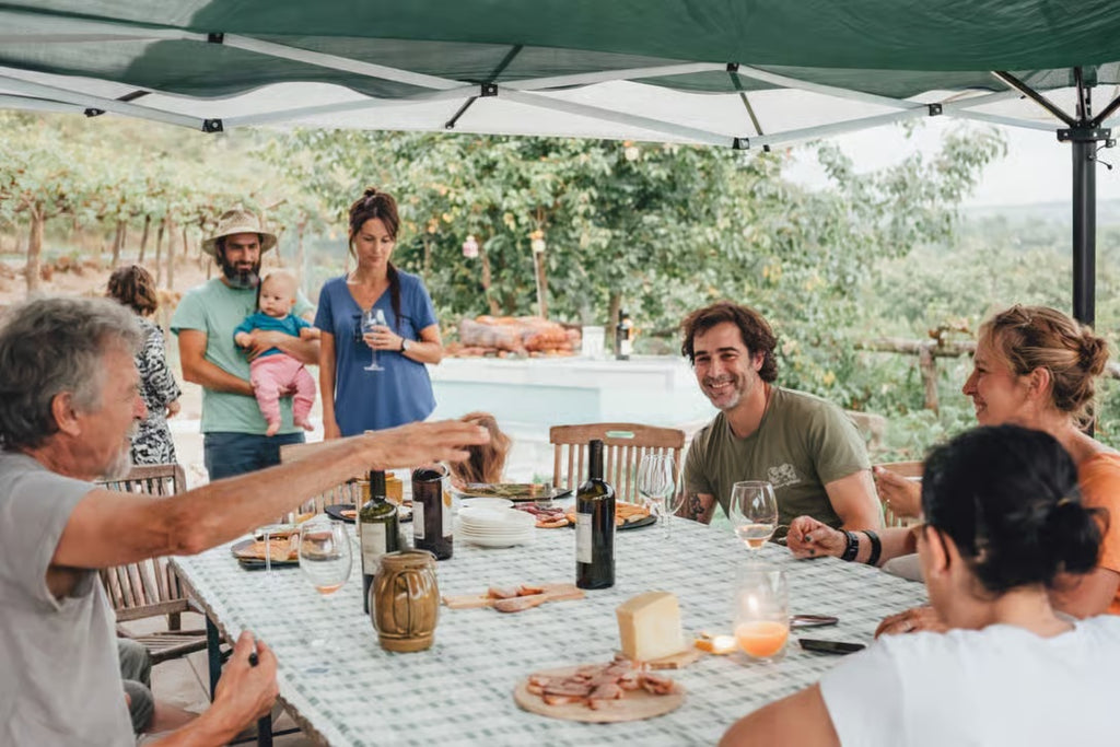 Guests sharing a wine tasting at a vineyard estate in the Verona countryside